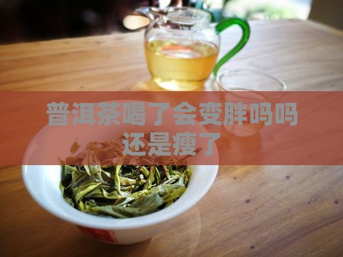 普洱茶喝了会变胖吗吗还是瘦了