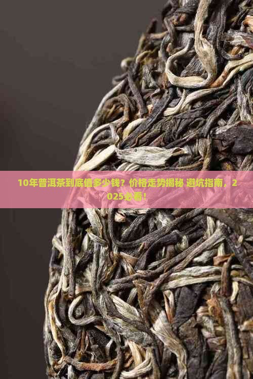 10年普洱茶的价格走势