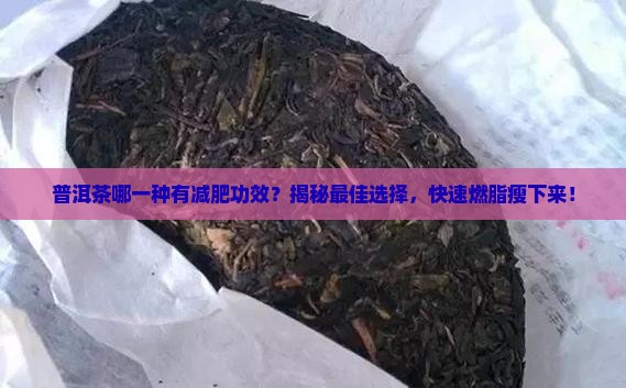 普洱茶哪一种有减肥功效