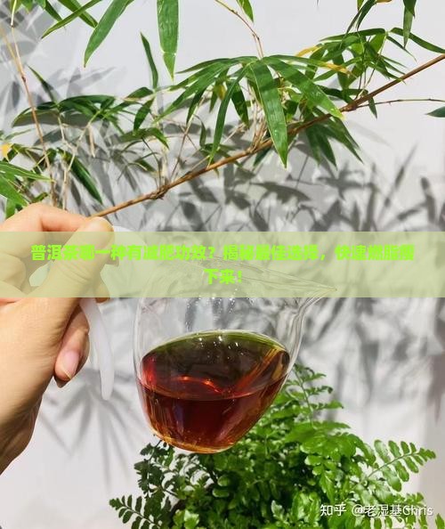 普洱茶哪一种有减肥功效