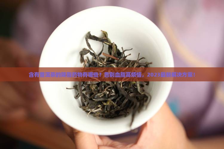 含有普洱茶的降脂药物有那些