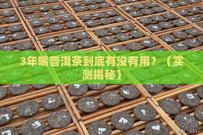 普洱茶一般喝多久有效