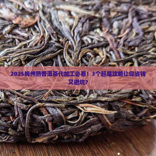 梅州熟普洱茶代加工