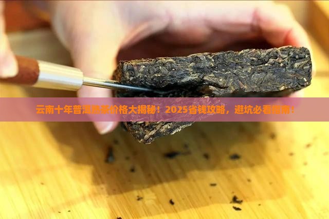 云南十年普洱熟茶价格