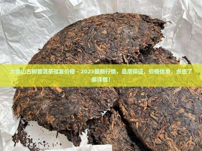 大雪山古树普洱茶批发价格