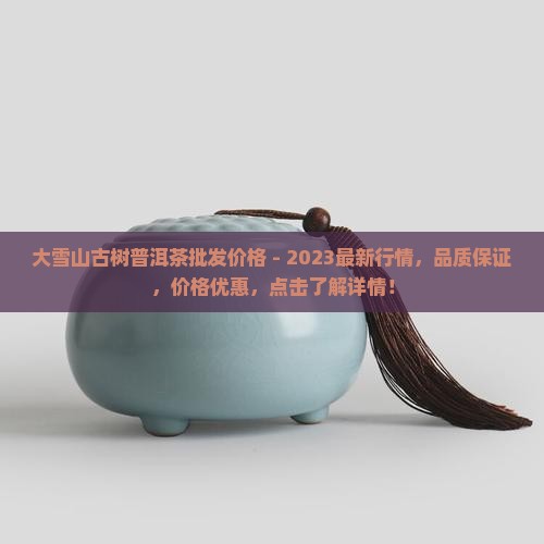 大雪山古树普洱茶批发价格