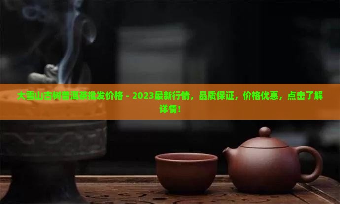 大雪山古树普洱茶批发价格