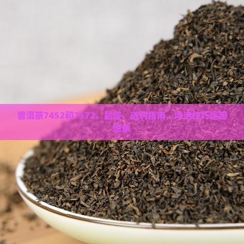 普洱茶7452和7572