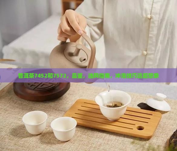普洱茶7452和7572