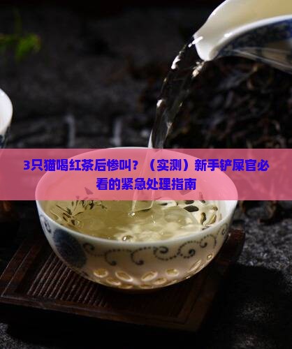 猫不小心喝了红茶