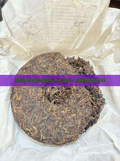 菊花可以和普洱茶叶一起泡吗