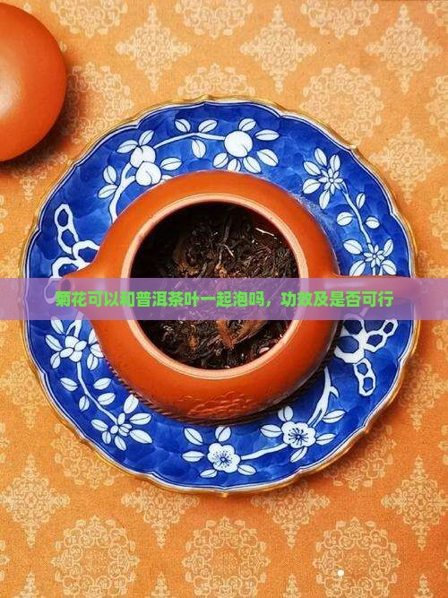 菊花可以和普洱茶叶一起泡吗