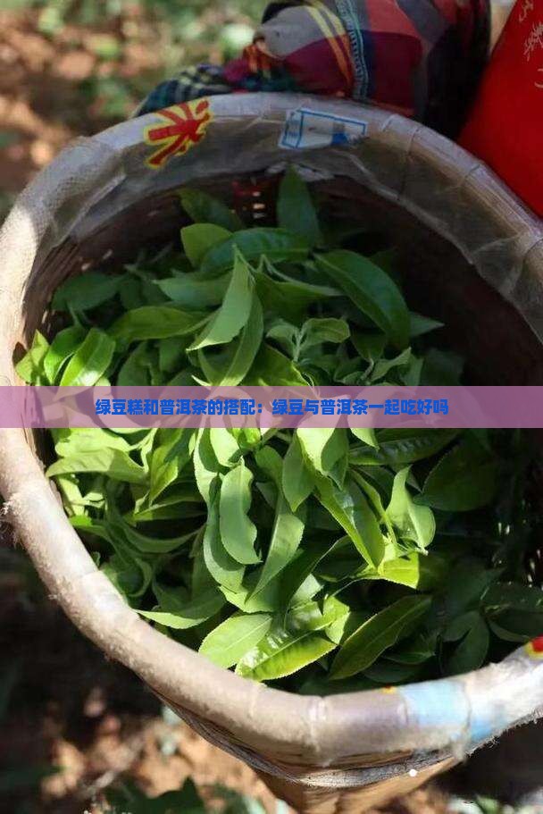 绿豆糕可以和普洱茶一起吃吗