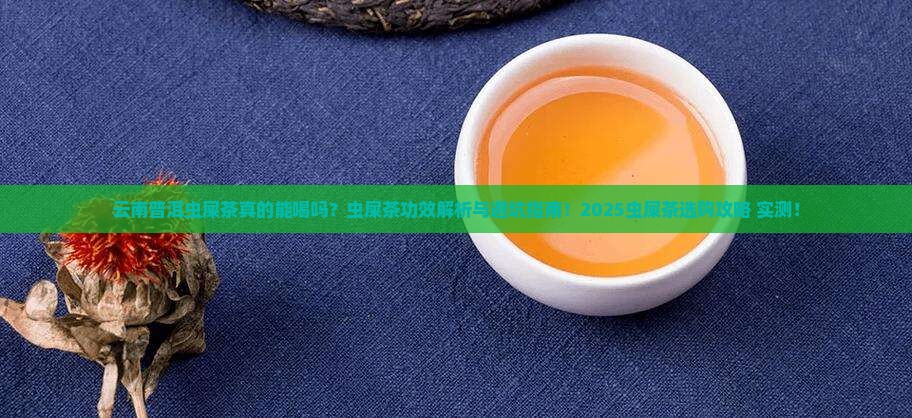云南普洱虫屎茶