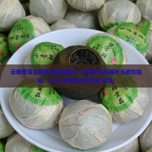 云南普洱虫屎茶