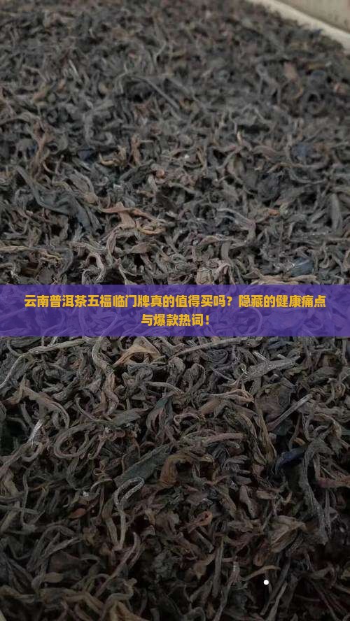 云南普洱茶五福临门牌