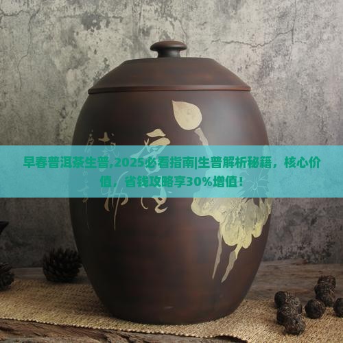 早春普洱茶生普