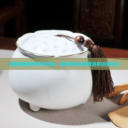 青普洱茶的作用及功效