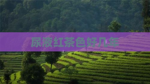 尿液红茶色好几年