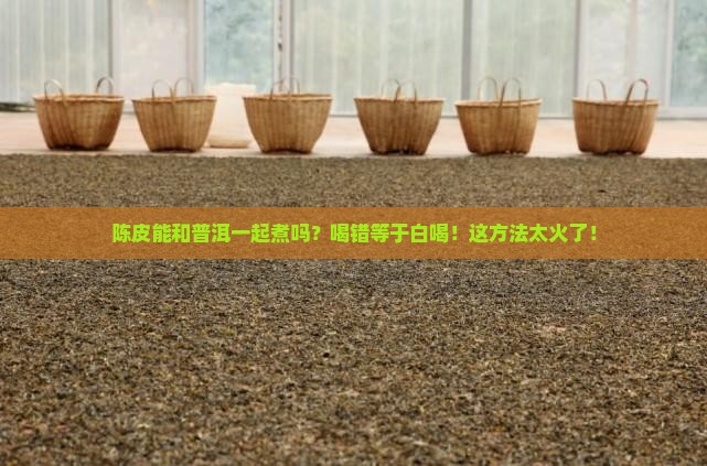 陈皮能喝普洱一起煮吗