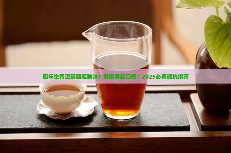 四年生普洱茶的味道