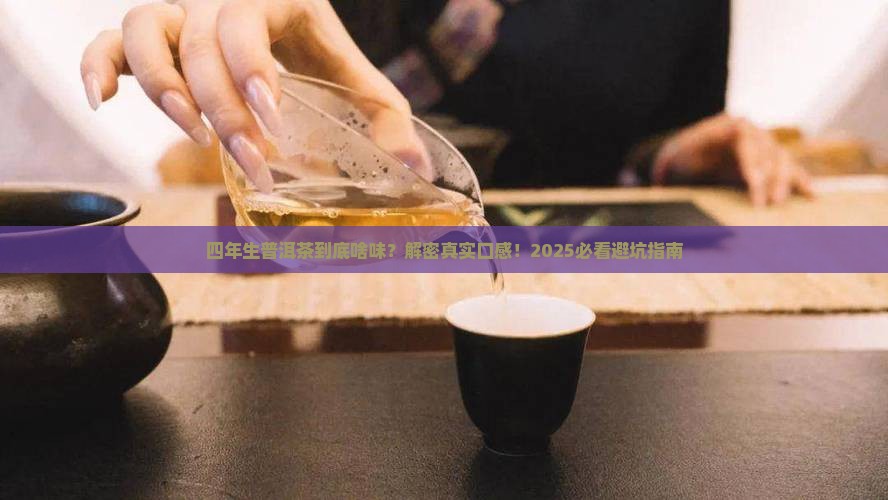 四年生普洱茶的味道