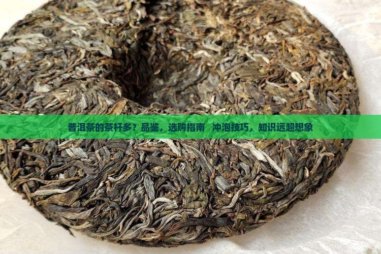 普洱茶的茶杆多