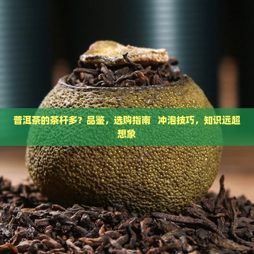 普洱茶的茶杆多