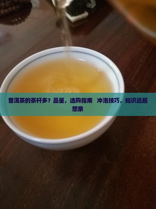 普洱茶的茶杆多