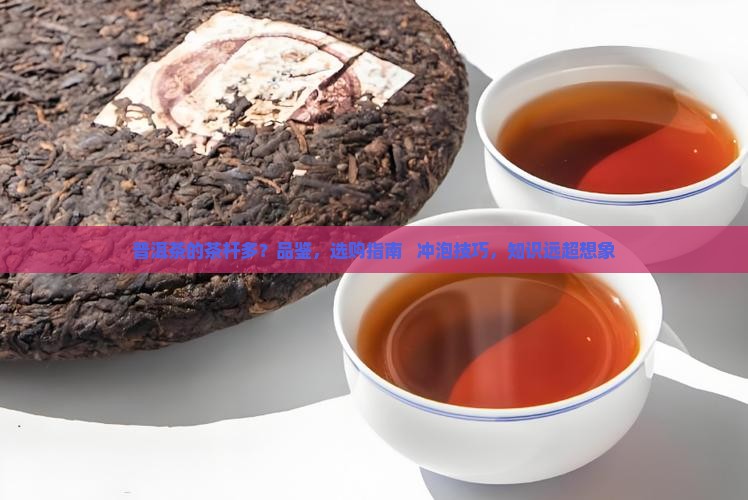 普洱茶的茶杆多