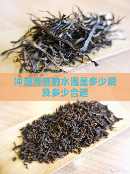 冲泡青茶的水温