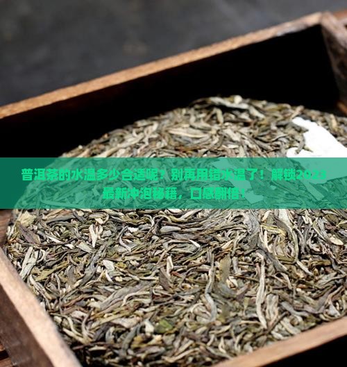 普洱茶的水温多少合适呢