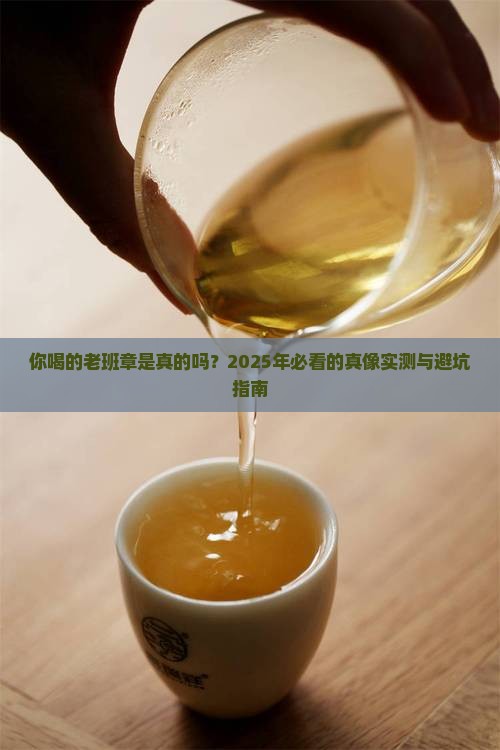 你喝的老班章是真的吗 你喝的老班章是真的吗