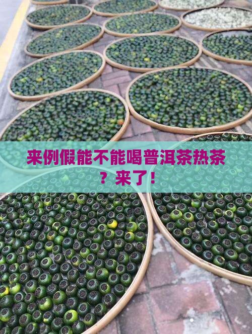 来例假能不能喝普洱茶热茶 来例假能不能喝普洱茶热茶
