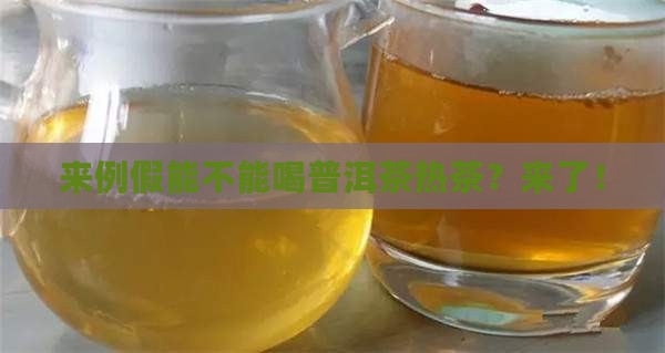 来例假能不能喝普洱茶热茶 来例假能不能喝普洱茶热茶