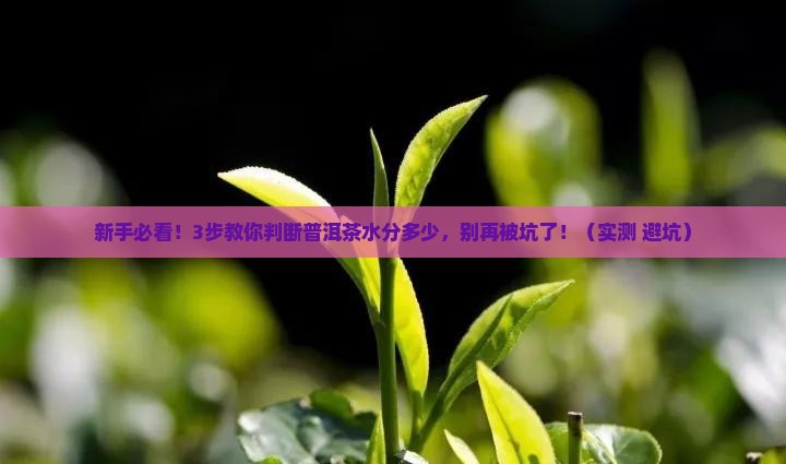 普洱茶如何检测水分多少