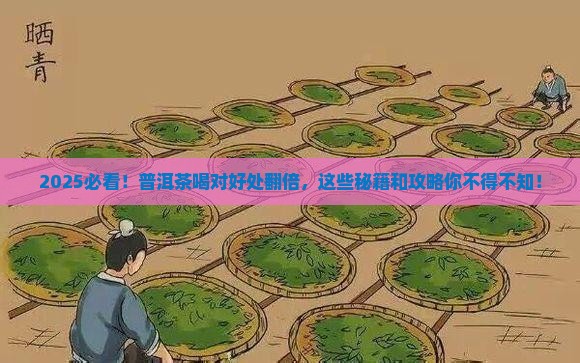 怎么喝普洱茶好处推荐一下