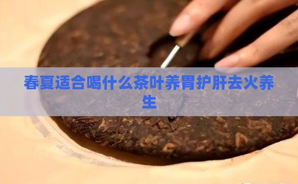 春夏适合喝什么茶叶养胃