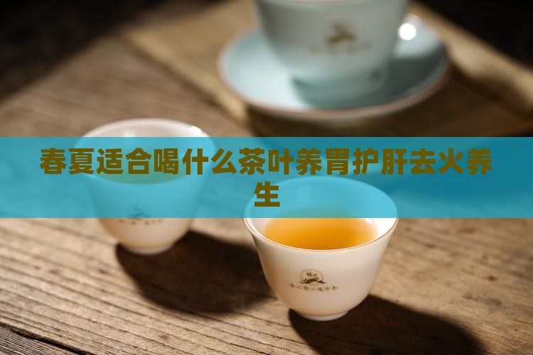 春夏适合喝什么茶叶养胃