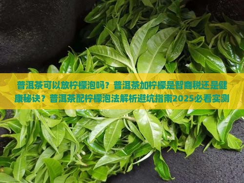 普洱茶可以放柠檬泡吗