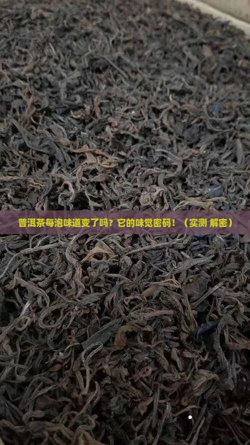 普洱茶每泡味道