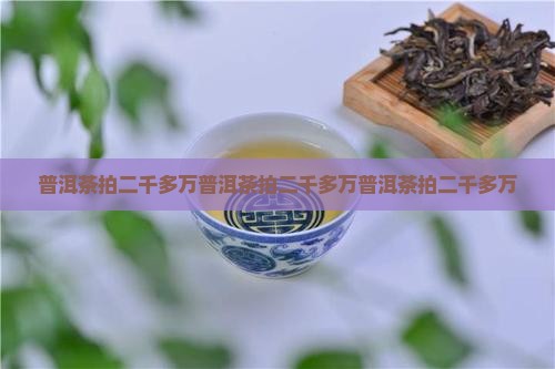 普洱茶拍二千多万