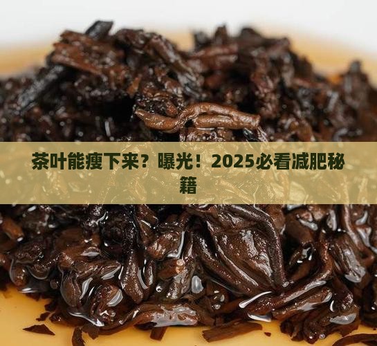 茶叶可以减肥吗