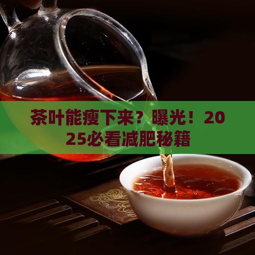 茶叶可以减肥吗