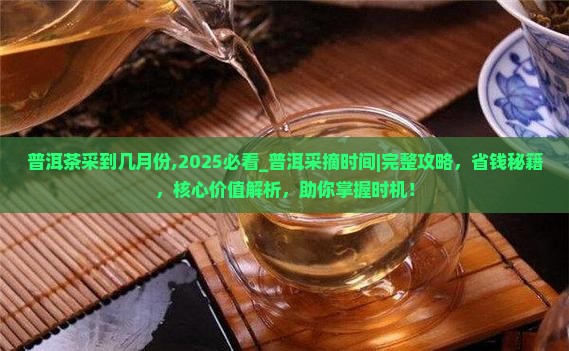 普洱茶采到几月份
