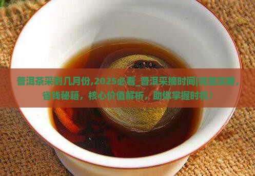 普洱茶采到几月份