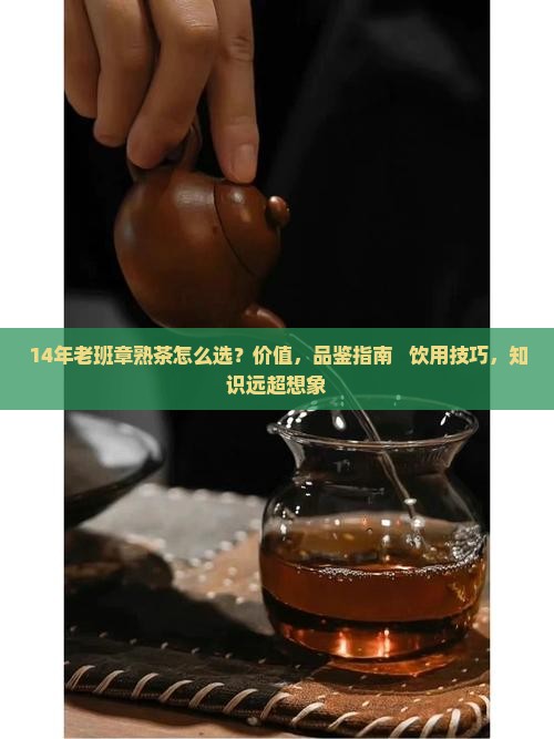 14年老班章熟茶