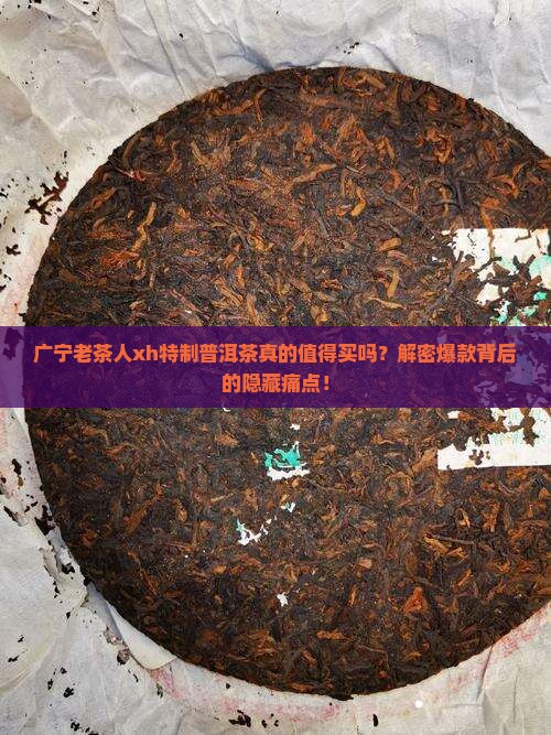 广宁老茶人xh特制普洱茶