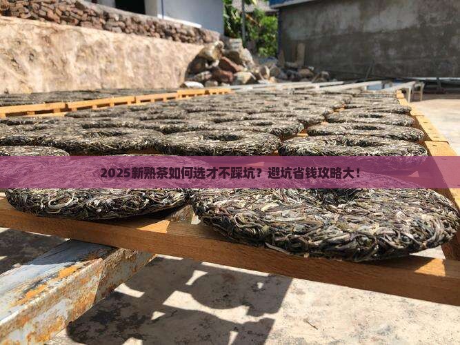 新熟茶如何为好