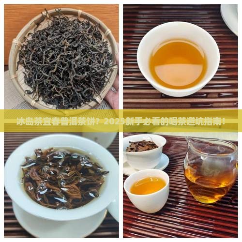 冰岛茶宜春普洱茶饼